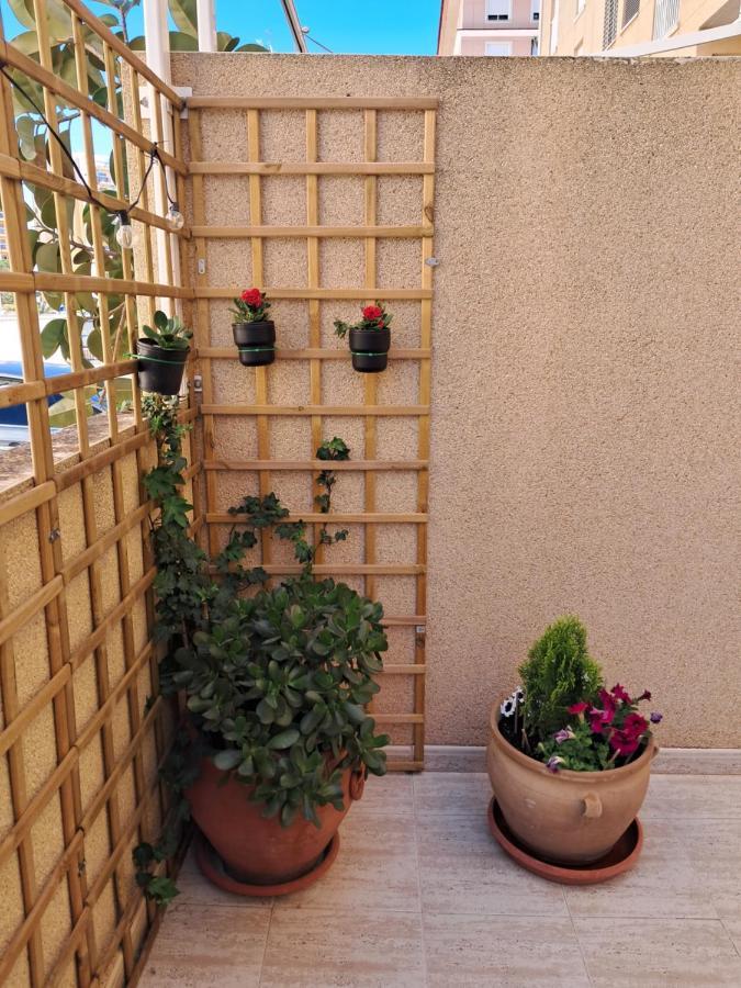 شقة Apartamento Dama De Guardamar كوارذامار ذيل سيغورا المظهر الخارجي الصورة
